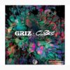  Tapestry Official Griz Merch